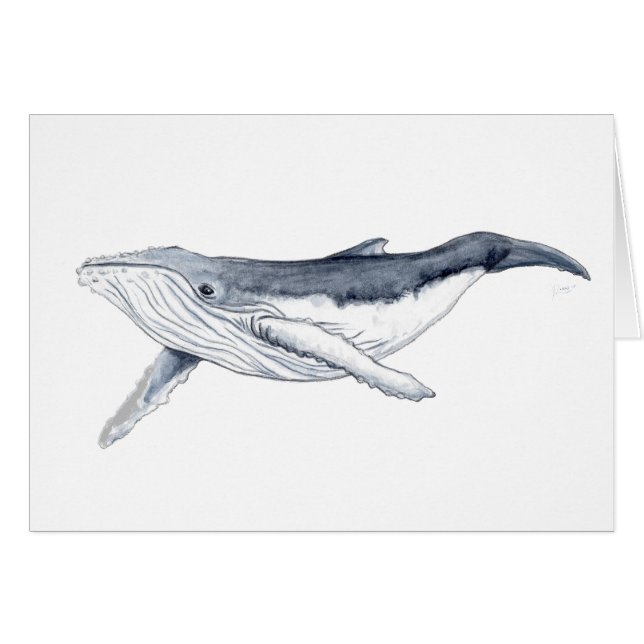 Cartão Bebe ballena yubarta (Frente Horizontal)