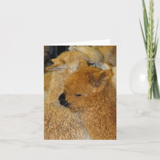 Cartão Bebê bonito (Frente)