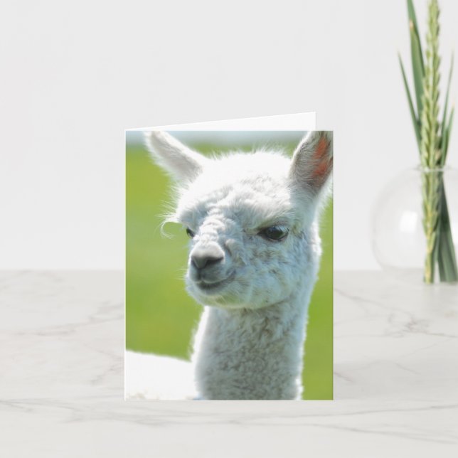 Cartão Bebé branco (Frente)