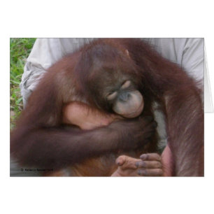 Cartão Bebê Cego Orangutan Superando Deficiências