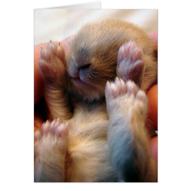 Cartão Bebê Coelhinho Na Mão (Frente)