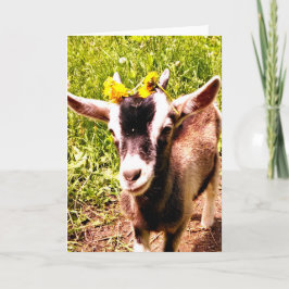 Cartão Bebê com flores - Placa de Vazio