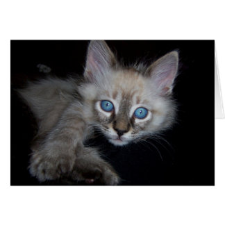 Cartão Bebé de olhos azuis