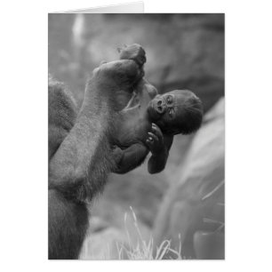 Cartão Bebê de suspensão do gorila