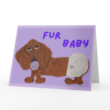 Bebê Furão Dachshund Filhote