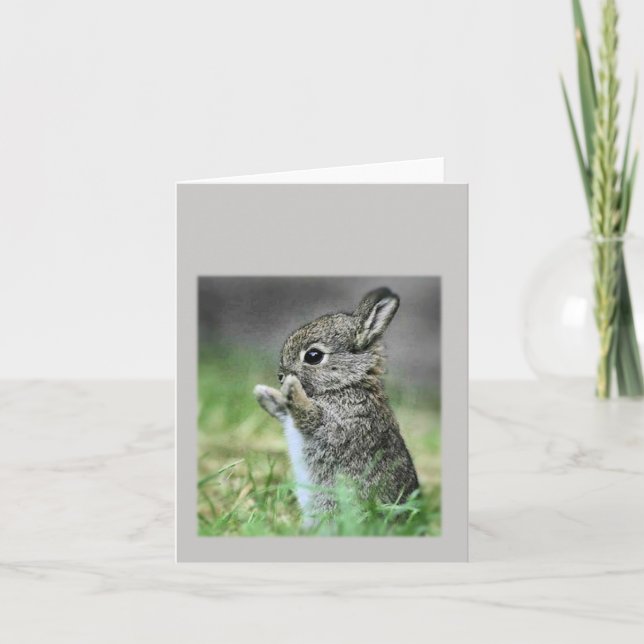 Cartão Bebê Rabbit (Frente)
