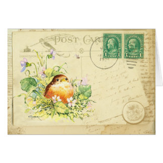 Cartão Bebê Robin com Cartão-Postal Violeta