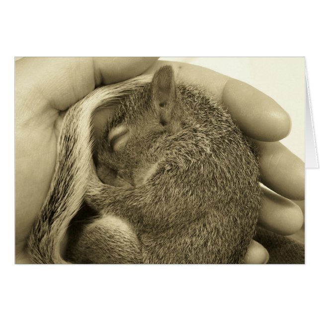 Cartão Bebê Sonolento (Frente Horizontal)