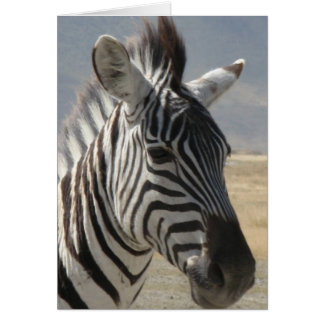 Cartão bebê Zebra