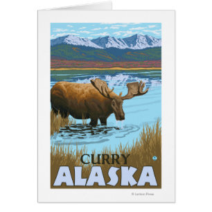 Cartão Bebendo de alce no lago - Curry, Alaska