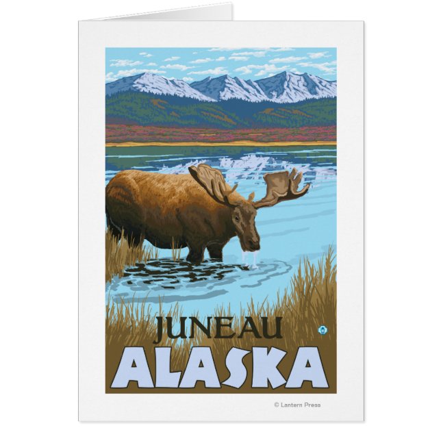 Cartão Bebendo de alce no lago - Juneau, Alaska (Frente)