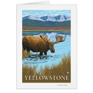 Cartão Bebendo de alce no lago - Nacional Yellowstone