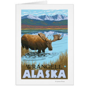 Cartão Bebendo de alce no lago - Wrangell, Alaska