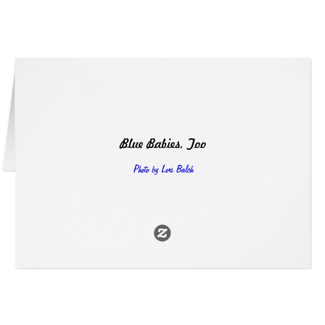 Cartão Bebês Azuis Também (Verso horizontal)