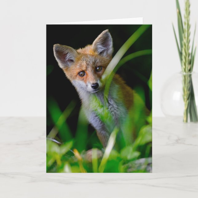 Cartão Bebês Mais Pobres | Bebê-Raposa Vermelha (Frente)