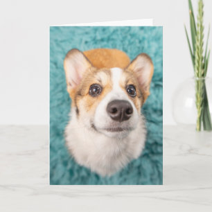 Cartão Bebês Mais Pobres Corgi Doce Face Puppy
