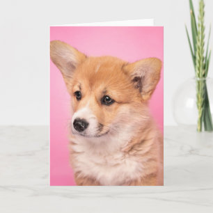 Cartão Bebês Mais Pobres Corgi Puppy a rosa