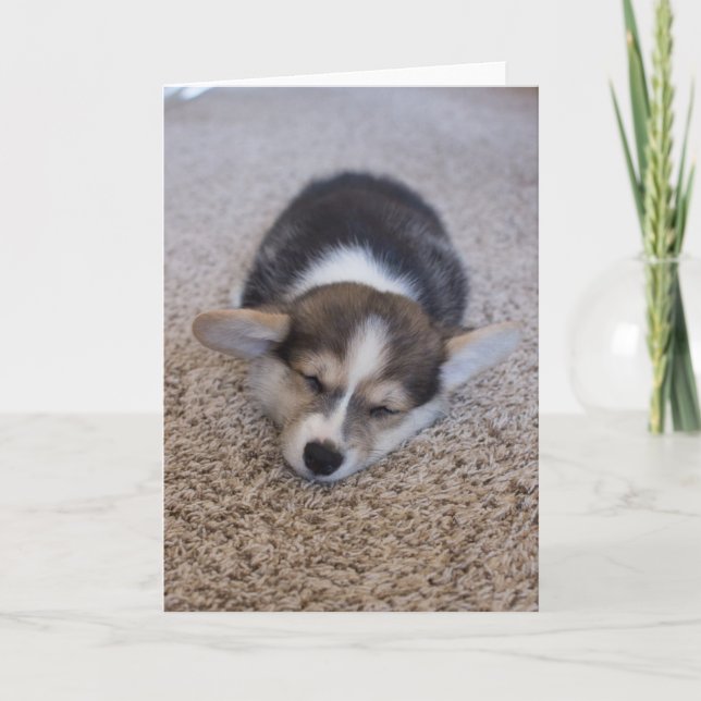 Cartão Bebês Mais Pobres | Corgi Puppy em Shag Rug (Frente)