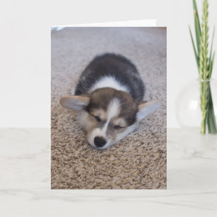 Cartão Bebês Mais Pobres   Corgi Puppy em Shag Rug