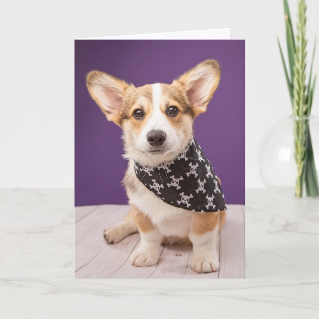 Cartão Bebês Mais Pobres | Corgi Puppy Skull Bandana (Frente)