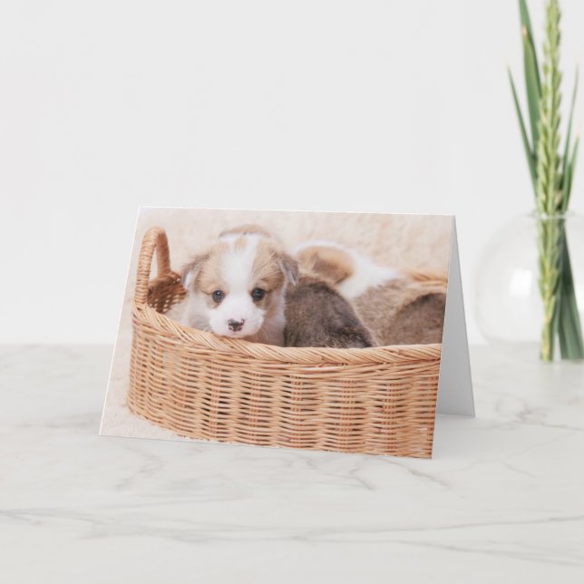 Cartão Bebês Mais Pobres | Corgi Tiny Puppy (Frente)