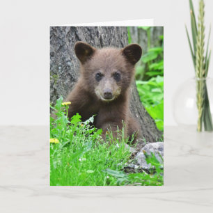 Cartão Bebês Mais Pobres Cubo-Urso-Marrom