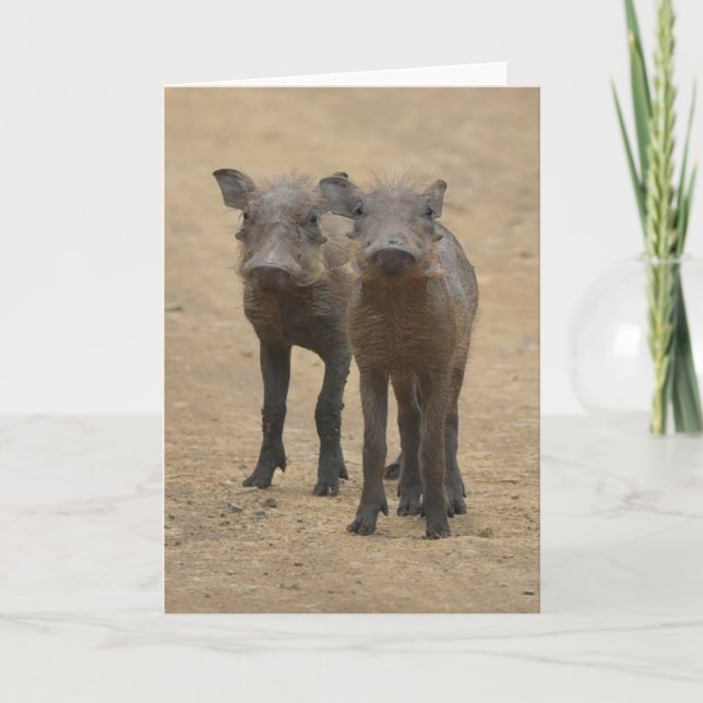 Cartão Bebês Mais Pobres | Dois Jovens Warthogs (Frente)