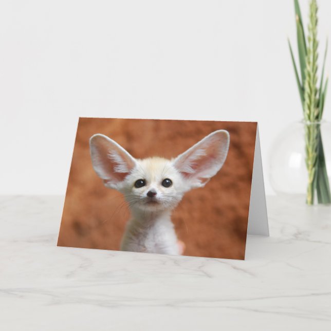 Cartão Bebês Mais Pobres | Fennec Fox Pup (Frente)