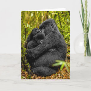 Cartão Bebês Mais Pobres   Gorilla & Baby