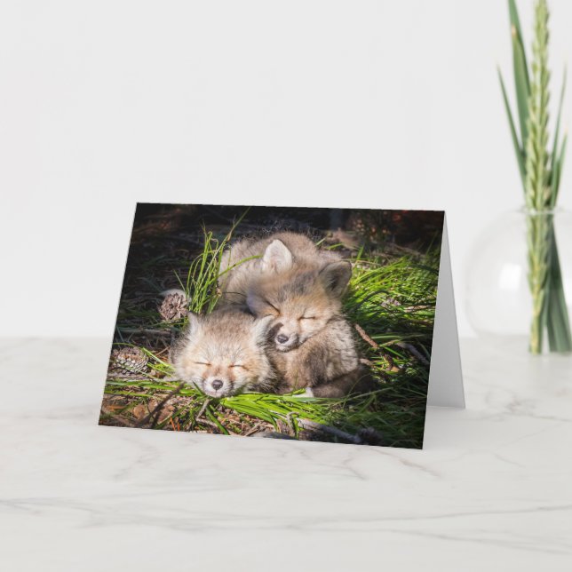 Cartão Bebês Mais Pobres | Kits De Raposa Vermelha Para B (Frente)