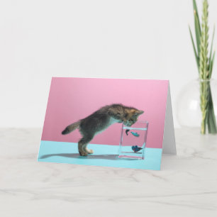 Cartão Bebês Mais Pobres Kitten Olhando para Fish Bowl