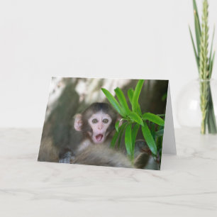Cartão Bebês Mais Pobres Macaco surpreso na neve