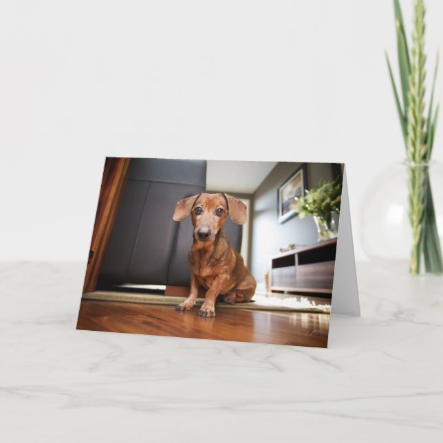 Cartão Bebês Mais Pobres | Mini Dachshund Puppy (Frente)