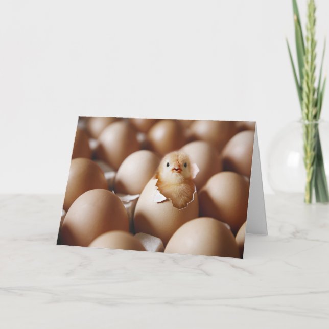 Cartão Bebês Mais Pobres | Novo Pintinho (Frente)