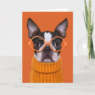 Cartão Bebês Mais Pobres   Orange Boston Terrier
