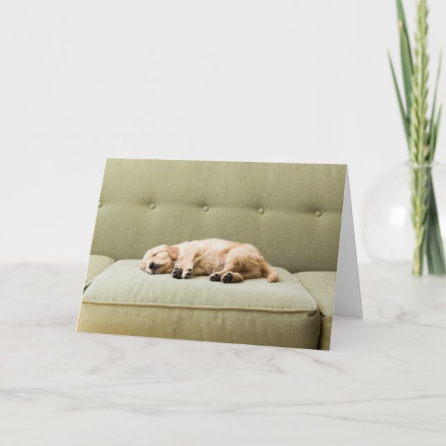 Cartão Bebês Mais Pobres | Ouro Retriever Puppy 2 (Frente)