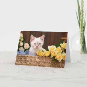Cartão Bebês Mais Pobres   Rosas de Kitten e Amarelo