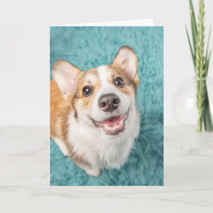 Cartão Bebês Mais Pobres Sorriso De Puppy Corgi