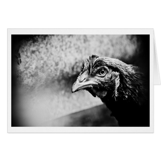 Cartão bebidas espirituosas e galinhas (Frente Horizontal)