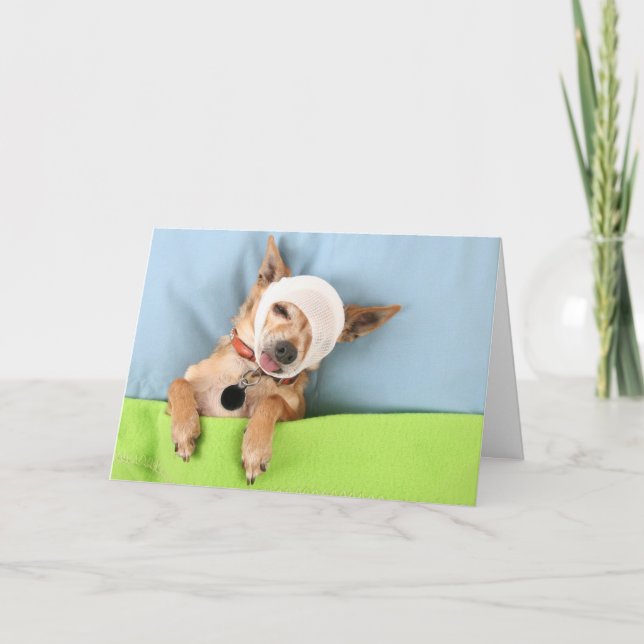 Cartão bed-head (Frente)