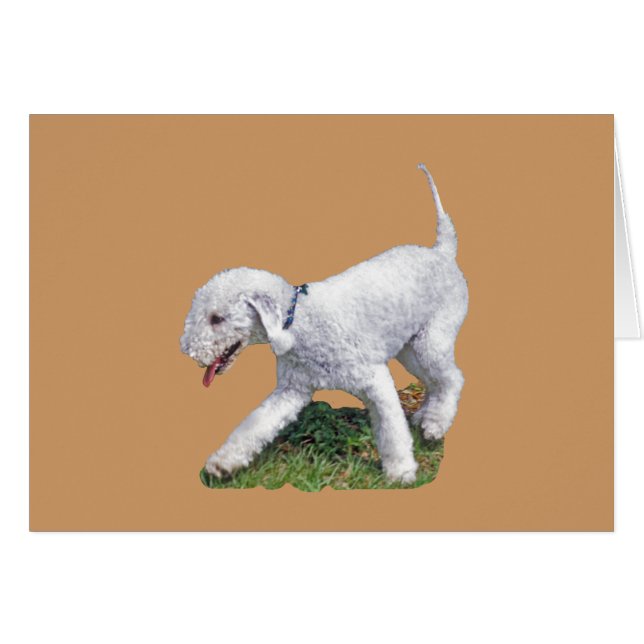 Cartão Bedlington Terrier (Frente Horizontal)