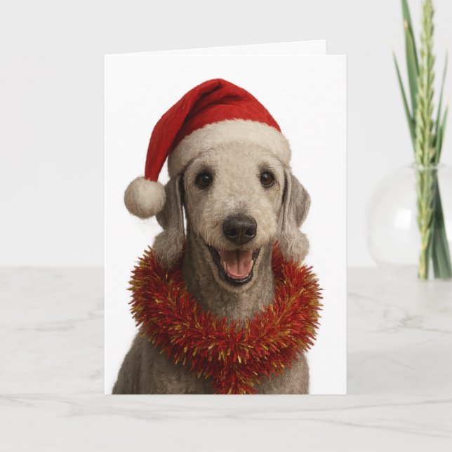 Cartão Bedlington Terrier in a Santa hat Christmas card (Frente)