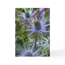 Bee and Purple Flowers, Seattle, WA