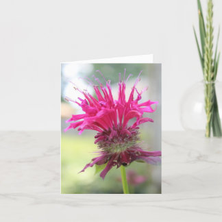 Cartão Bee Balm Closeup Notecard