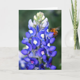Cartão Bee & Bluebonnet