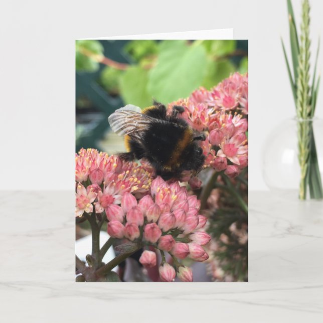 Cartão Bee Greeting Card (Frente)