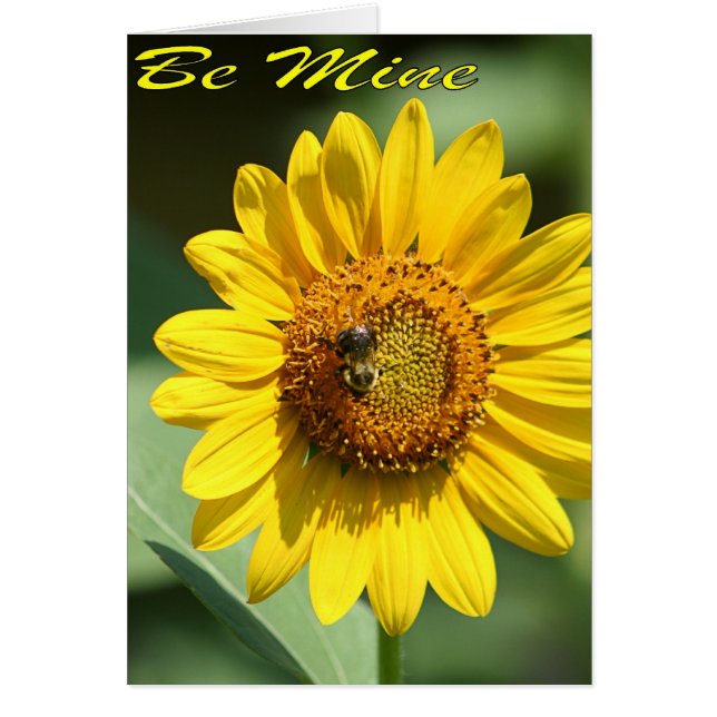 Cartão Bee Mine Card (Frente)