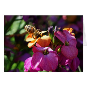 Cartão Bee 'n Beauty