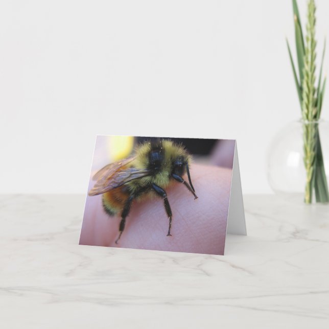 Cartão Bee note card (Frente)