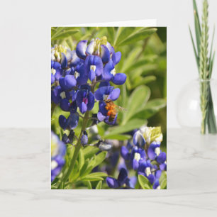 Cartão Bee on Bluebonnet Scripture Card Psalm 73:25-26
